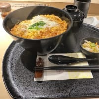 第60回日本理学療法学術研修大会