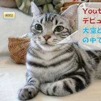 Youtube　開局記念　その２