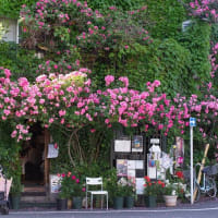 バラに囲まれた癒しのカフェ