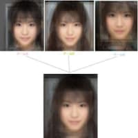 日本人の標準顔 Akb48の平均顔がネット上で話題 うさぎ 婚活中の最近気になること 日本人の標準顔 Akb48の平均顔がネット上で話題 うさぎ 婚活中の最近気になること