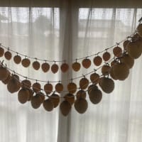 干し柿完成