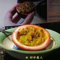 はてな？？の正体は・・・・・