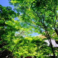 軽く一杯-奈良県天理市：長岳寺