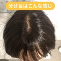 お手入れしやすいフルウィッグ