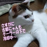 進化しなければいけない人類と避雷針🗺️！長く暑い夏になりそう～・・・