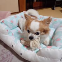 ええ事と悪い事！