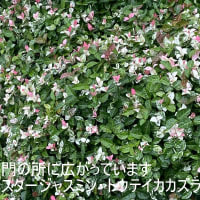 体調管理はまずまず