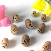 「金魚草」でドクロ祭り💀