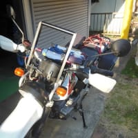 ラリー車っぽく