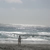 Carmel by the sea