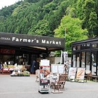 天領・日田、川開き観光祭、花火大会、見物 。　大分県・日田市 。