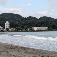 朝の海と台風