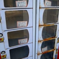 大宮藤木直売所の野菜