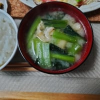 今日は朝からの雨