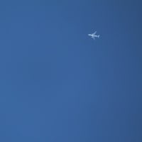空を見上げたら飛行機が接近して飛んでた