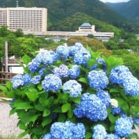 山口の風景　6月16日