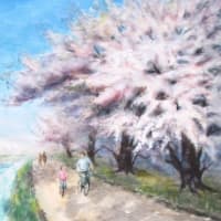 今年も春霞の中、桜前線が通過中