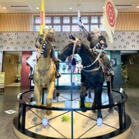 いわき小名浜＆相馬の旅・緊張しないリラックスできる土地が東北でした°˖✧