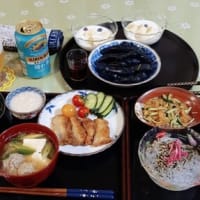 千葉から友人が来ました