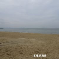 楽しいウォーク「福間海岸散策と宮地嶽神社の菖蒲園を巡る」（福岡県福津市）