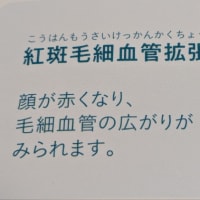 クリンへの想いは尽きなくて・・・294