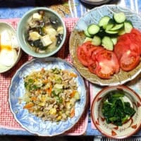 ブログ終了だって！ネコたち、ゴミの中から…