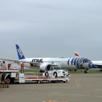 横田の翌日は羽田①　飛行機に乗れない・・・