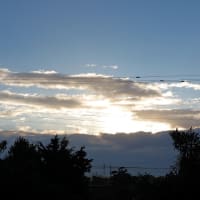 曇り空の、12月24日。22日、23日の朝の光景。