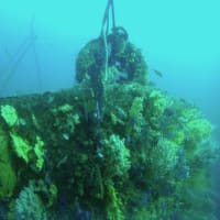 熱海 YGM Diving　Pro　5月4日　 海洋状況＆一言コメント 
