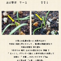   土に学ぶ　７－１