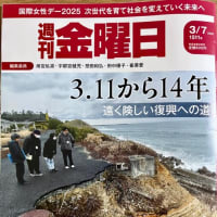 ●『決断 運命を変えた3･11 母子避難』上映会《社民、立憲、共産、れいわ、無所属の議員が駆け付けたが、復興などと軽々に言う議員は1人もいなかった》