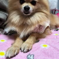 はじめまして