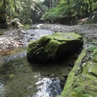 平和学習に向けて