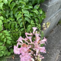 暑いからインドアで過ごしたい