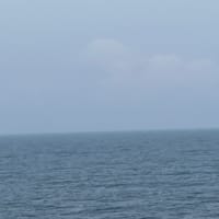 駿河湾フェリー乗ってみた