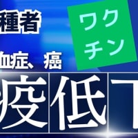 村上教授推薦✨現役医師【岩本まな】参政党参議院全国比例
