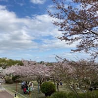 2歳の息子と摂津峡公園へ