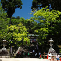 滋賀　高島市の大荒比古神社