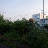 頭が、下がる、、、