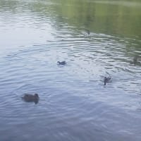 退院準備