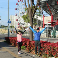 仙台ハーフマラソンに出ます！