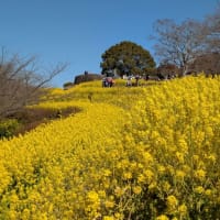 2025年03月01日(土)掲載　 　02月21日（水）～02月28日(金)までの受付