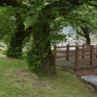 萩原町の 農村公園を行く
