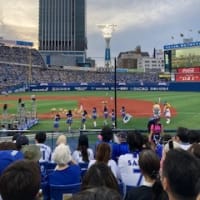 異形鉄筋/ベースボール⚾観戦・大洋勝った