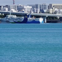 那覇新港に1日張り付いてみた（20250606）