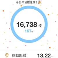 やっぱり始まってました（笑）