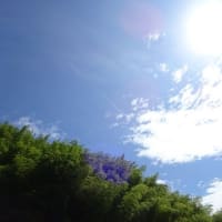 連休１日目、親積んで ゆるドライブ、、、