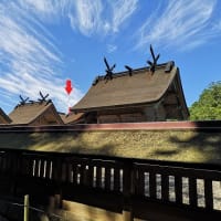 旅行記 第38回 『出雲大社・足立美術館・松江・鳥取砂丘 3日間』 (その4)
