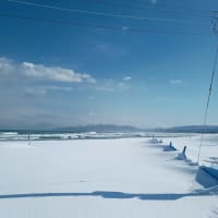 味宿きぬや　2/21