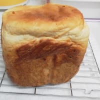 最近の趣味
